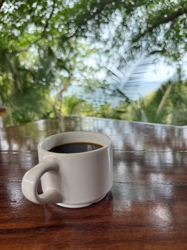 Airplane Mode: Summer Blend