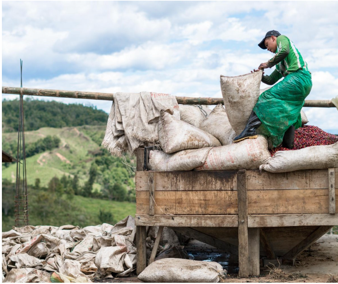 Organic Colombia Tolima Rio Blanco