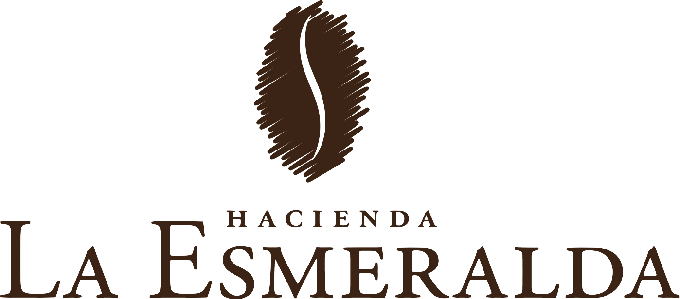 Esmeralda Experience Series